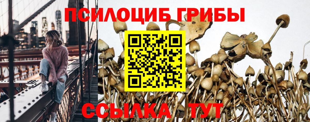 Галлюциногенные грибы MAGIC MUSHROOMS Нововоронеж