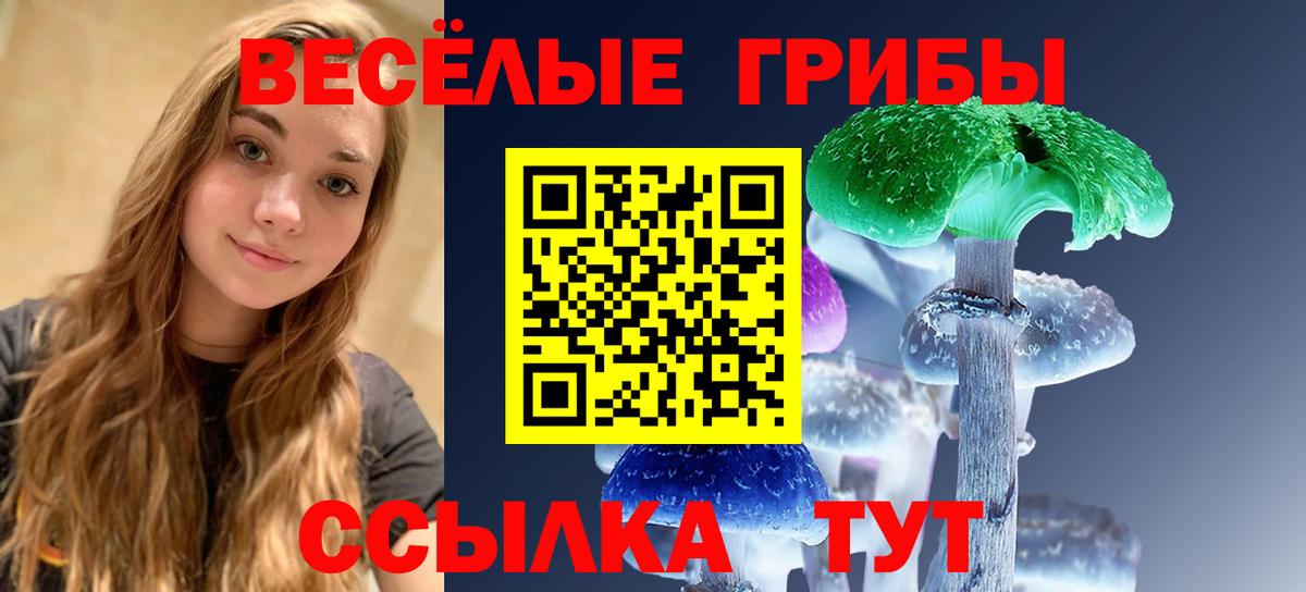 Галлюциногенные грибы MAGIC MUSHROOMS  Нововоронеж  Галлюциногенные грибы мухоморы 