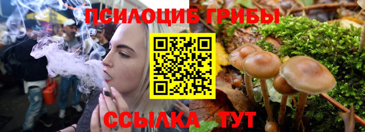Псилоцибиновые грибы мухоморы  купить  цена  Нововоронеж  Вход с VPN 