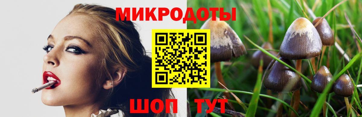 Галлюциногенные грибы GOLDEN TEACHER Нововоронеж
